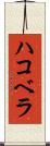 ハコベラ Scroll