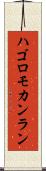 ハゴロモカンラン Scroll