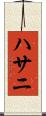 ハサニ Scroll