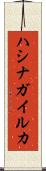 ハシナガイルカ Scroll