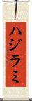ハジラミ Scroll