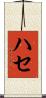 ハセ Scroll