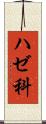 ハゼ科 Scroll