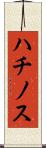 ハチノス Scroll