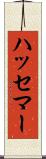 ハッセマー Scroll