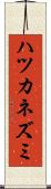 ハツカネズミ Scroll