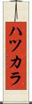 ハツカラ Scroll