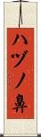 ハヅノ鼻 Scroll