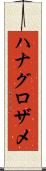 ハナグロザメ Scroll