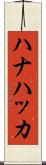 ハナハッカ Scroll