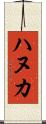 ハヌカ Scroll