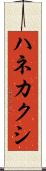 ハネカクシ Scroll