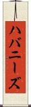 ハバニーズ Scroll