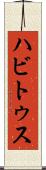 ハビトゥス Scroll