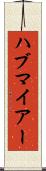 ハブマイアー Scroll