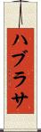 ハブラサ Scroll