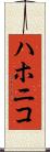 ハホニコ Scroll