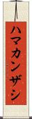 ハマカンザシ Scroll
