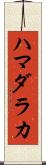 ハマダラカ Scroll