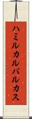 ハミルカルバルカス Scroll