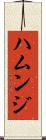 ハムンジ Scroll