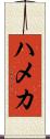 ハメカ Scroll
