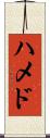 ハメド Scroll