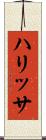 ハリッサ Scroll