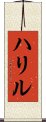 ハリル Scroll