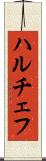 ハルチェフ Scroll