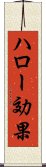 ハロー効果 Scroll