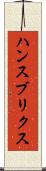 ハンスブリクス Scroll
