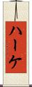 ハーケ Scroll