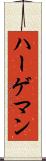 ハーゲマン Scroll