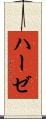 ハーゼ Scroll