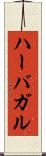 ハーバガル Scroll