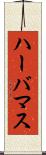 ハーバマス Scroll