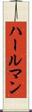 ハールマン Scroll