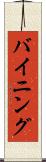 バイニング Scroll