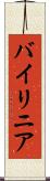 バイリニア Scroll