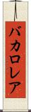 バカロレア Scroll