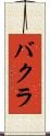 バクラ Scroll