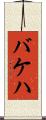 バケハ Scroll