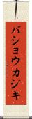 バショウカジキ Scroll