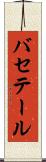 バセテール Scroll