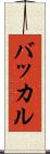 バッカル Scroll