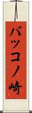バッコノ崎 Scroll