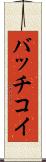 バッチコイ Scroll