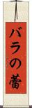 バラの蕾 Scroll