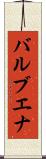 バルブエナ Scroll